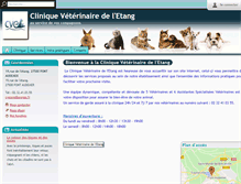 Tablet Screenshot of cvetang.com